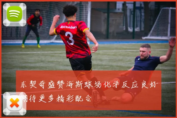 东契奇盛赞海斯球场化学反应良好期待更多精彩配合