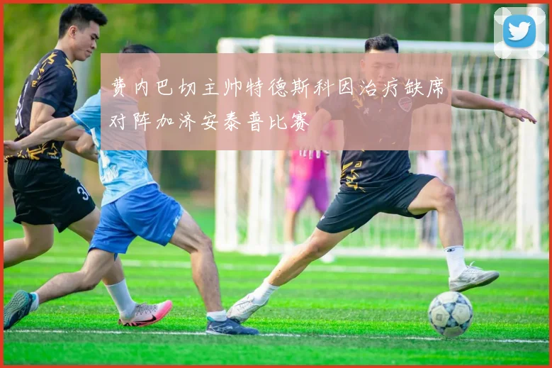 费内巴切主帅特德斯科因治疗缺席对阵加济安泰普比赛