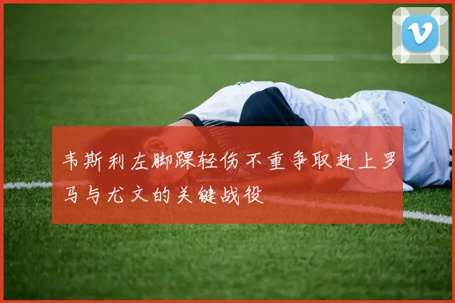 韦斯利左脚踝轻伤不重争取赶上罗马与尤文的关键战役